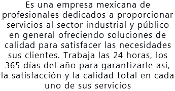 Es una empresa mexicana de profesionales dedicados a proporcionar servicios al sector industrial y público en general ofreciendo soluciones de calidad para satisfacer las necesidades sus clientes. Trabaja las 24 horas, los 365 días del año para garantizarle así, la satisfacción y la calidad total en cada uno de sus servicios